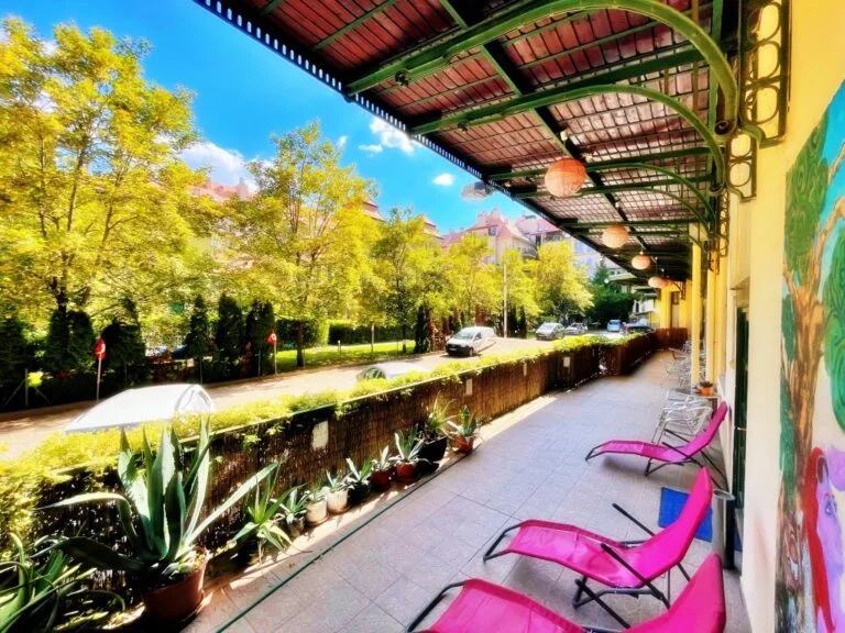 terrace with chairs and plants