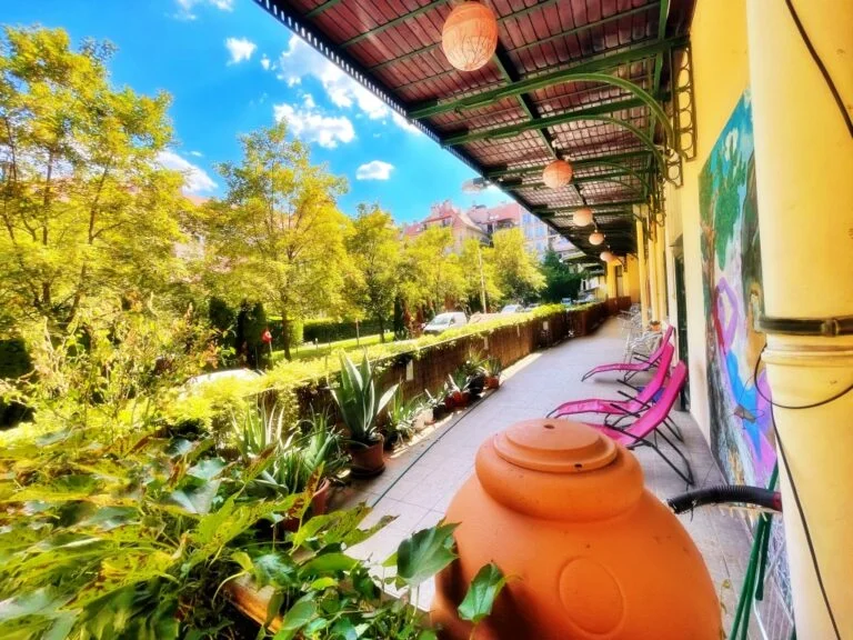 terrace with chairs and plants