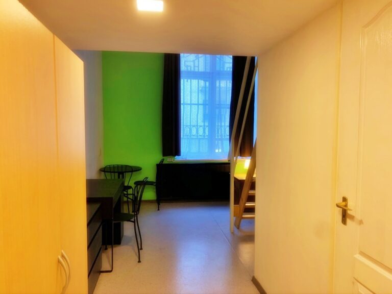 Interior view of a contemporary flat’s living area.